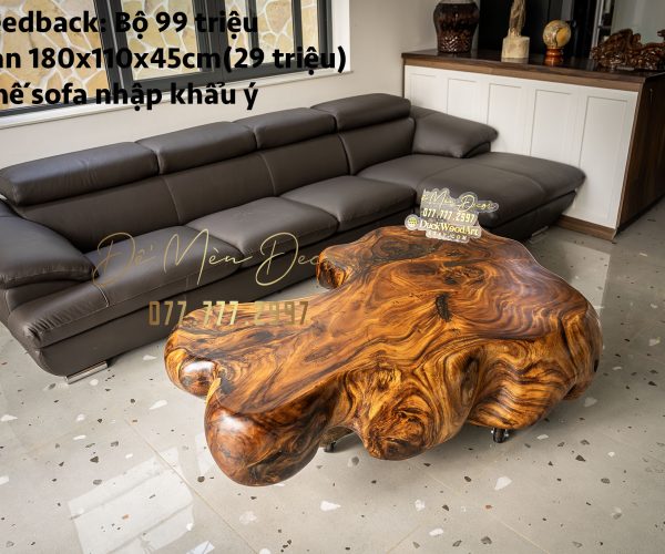 Bàn Sofa Gỗ Nguyên Khối Cao Cấp - Sang Trọng, Độc Đáo